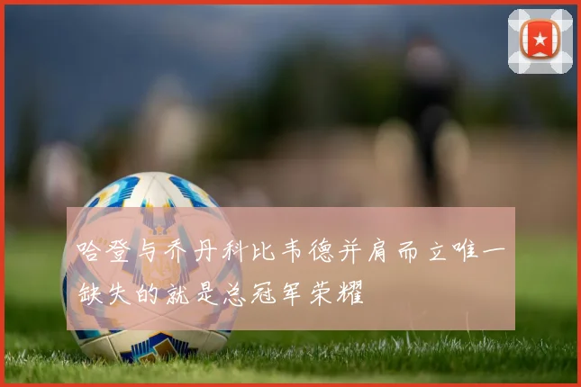 哈登与乔丹科比韦德并肩而立唯一缺失的就是总冠军荣耀